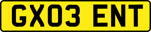 GX03ENT