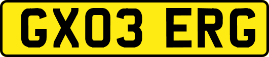 GX03ERG