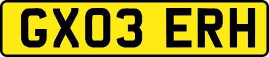 GX03ERH