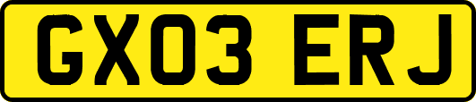 GX03ERJ