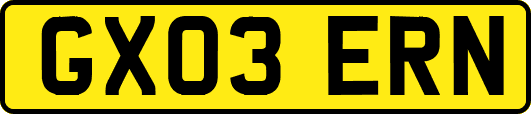 GX03ERN