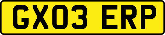 GX03ERP