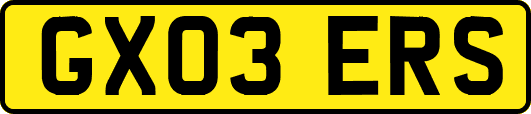 GX03ERS