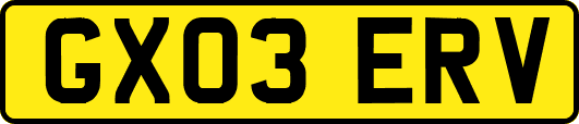 GX03ERV