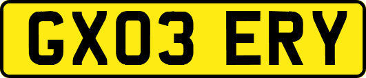 GX03ERY
