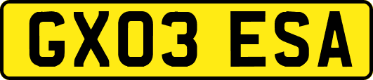 GX03ESA