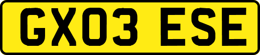 GX03ESE