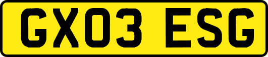 GX03ESG