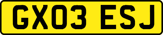 GX03ESJ