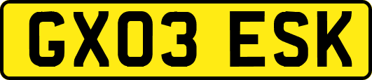 GX03ESK