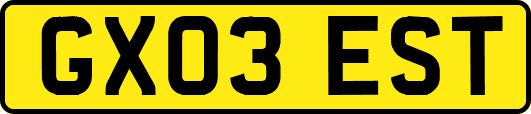 GX03EST