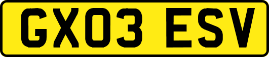 GX03ESV