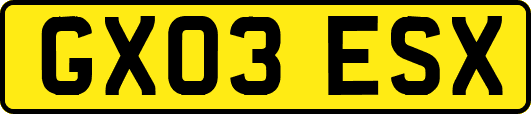 GX03ESX