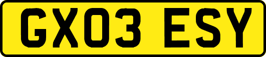 GX03ESY