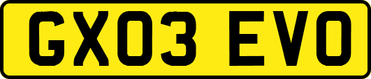 GX03EVO