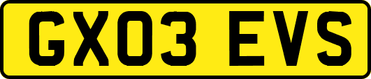 GX03EVS