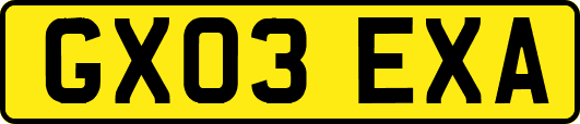GX03EXA
