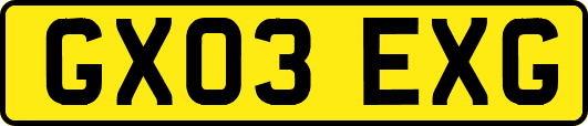 GX03EXG