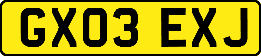 GX03EXJ