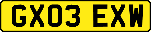 GX03EXW