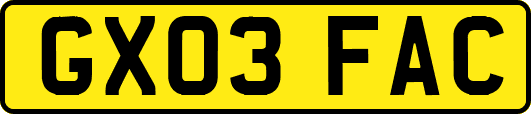 GX03FAC