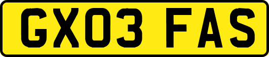 GX03FAS