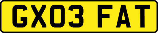GX03FAT