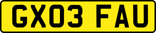 GX03FAU