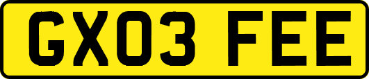 GX03FEE