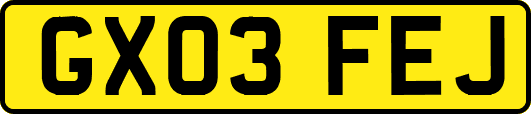 GX03FEJ