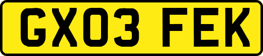 GX03FEK
