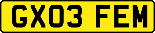 GX03FEM