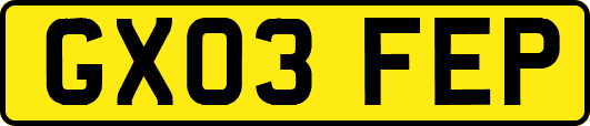 GX03FEP