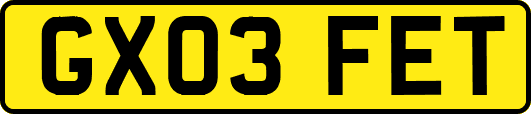 GX03FET