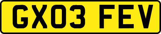 GX03FEV