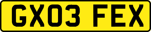 GX03FEX
