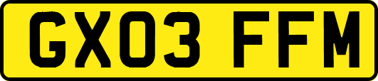 GX03FFM