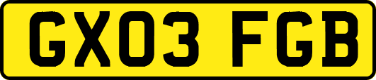 GX03FGB