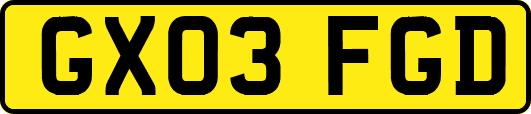 GX03FGD