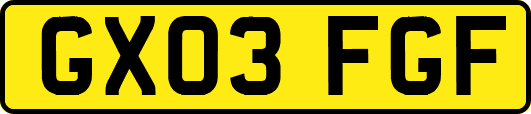 GX03FGF