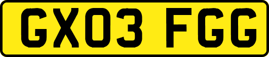 GX03FGG
