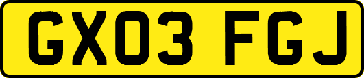 GX03FGJ