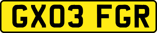 GX03FGR