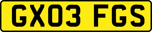 GX03FGS