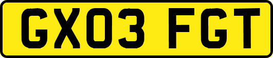 GX03FGT