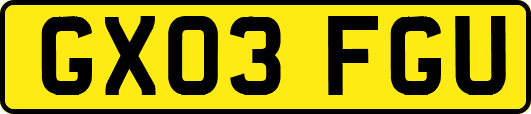 GX03FGU