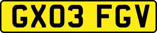 GX03FGV