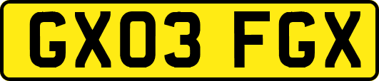 GX03FGX