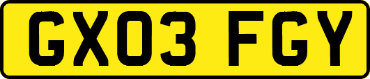 GX03FGY