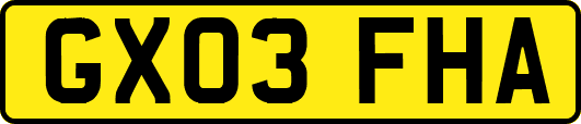 GX03FHA